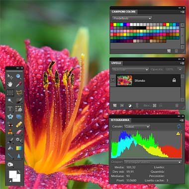 corsi di photoshop a treviso
